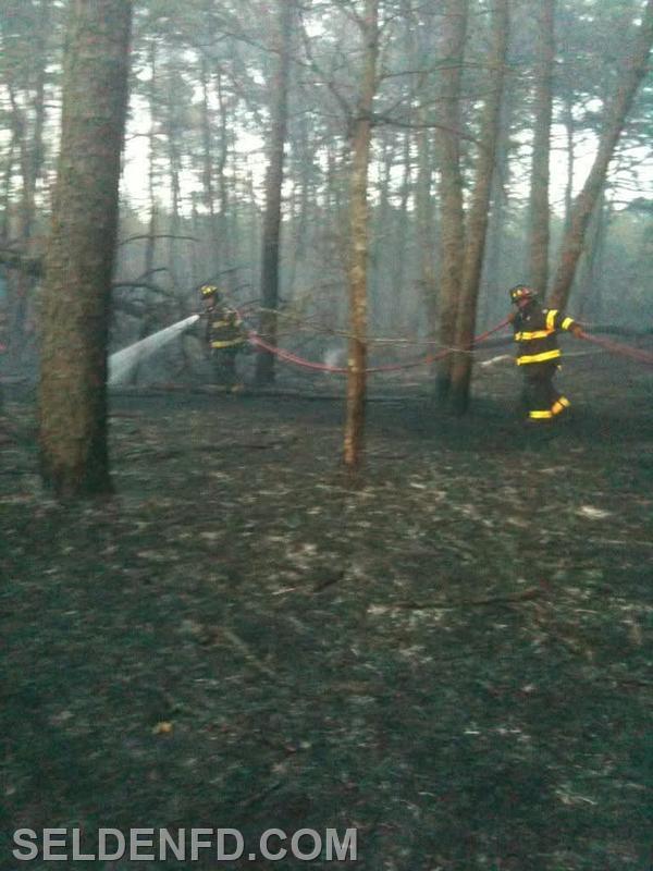 Firefighter Vuturo and Ex-Captain Sauter operating at a brush fire